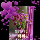 맨날맨날 이미지