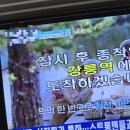 호텔야자 강릉역점 이미지