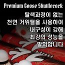 민턴하우스 - 전주시 완산구 백제대로 310 | 민턴하우스