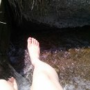 광릉내로 이미지