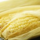 이쁜이PC 이미지