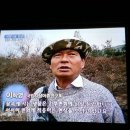 이*학 - 안양시 만안구 | 이*학