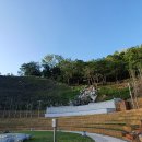 생골약수터 이미지