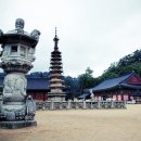 새한천 이미지
