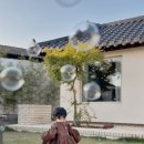 메종드시고르 이미지