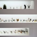 팀버렙타일 이미지