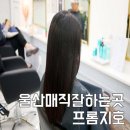 프롬지호