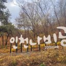 부평숲 인천나비공원 전시실 이미지