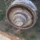 태성톱밥 이미지