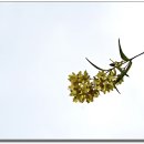 선기로1-3 이미지