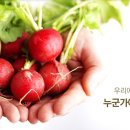 천사푸드뱅크 네이버블로그