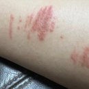 이봉구피부과의원 이미지