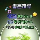 ♤세계가 깜짝 놀란 의학의 발견♧ 이미지