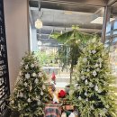 에델바움 이미지