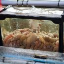 해운대해수욕장 3호 이미지