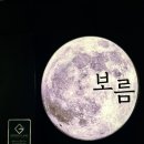 금령로 | 김량장동 술집 안주 맛집 보름 다녀온 후기 🌕