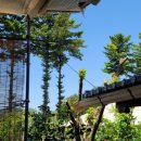 유천목장 이미지