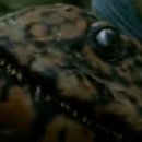 온리누스 이미지