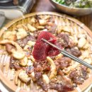 싱싱생고기 이미지