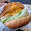 어진동_한뜰401동 앞 | 세종 어진동맛집 건강하고 담백한 수제버거, 뉴욕버거 다녀온 솔직 후기