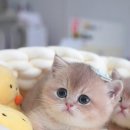 해운대로 663 이미지