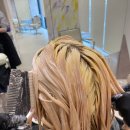 브로시스 이미지