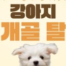 유니동물병원 이미지