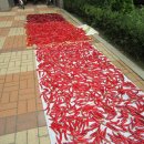 신일상사 이미지