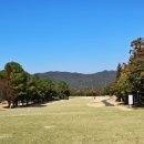 챔피온골프장 이미지