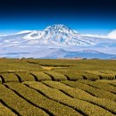 광양카랜드 이미지