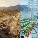 한들농장 | 청년농업인? 돈없음 하지마!! 농사 스텝이 자꾸만 스탑?!! (feat. 전기차 픽업트럭 구매 실패후기...)