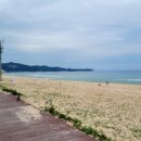 망상오토캠핑리조트 이미지