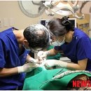 미래열린치과의원 이미지