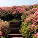 지에스25(GS25) 은행주공 이미지