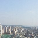 자이49공인중개사사무소 네이버블로그
