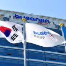 부산진구-29 이미지