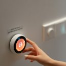 호미양양 이미지