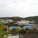 애월읍 소길리풋감마을 이미지