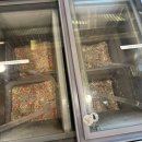 불당시티울엄마김밥 | 쿠우쿠우 천안불당점 - 천안 뷔페 추천 토요일 점심 방문 후기(웨이팅, 초밥 및 음식 종류 자세한 사진)