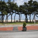 놀자대게 이미지