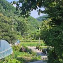 그린벨리바베큐 | 두손 가볍게 다녀올 수 있는 춘천 계곡 식당, 춘천 그린벨리바베큐