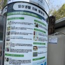 10.8 주민센터- EM용액 받기/ 손끝놀이- EM 흙공 만들기 이미지