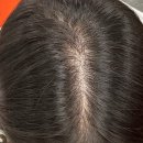 매일인터넷약국 | 판시딜인터넷구매