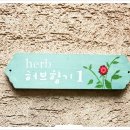 늘푸른허브