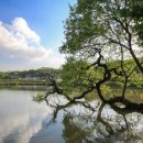 영팔이 황토펜션 | [전남] #영팔이황토펜션 #영광펜션추천 #영광펜션리뷰 #영광펜션후기 #영광법성면펜션 #영광지장제...