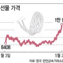 카프로닥터 이미지