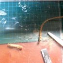 팀베이스 이미지