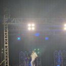 태화강 빛 축제 이미지