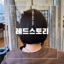 외미로 | 의정부 단발 잘하는곳 찾는다면? 레드스토리 호원점 염색 후기