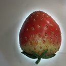 동경 탕후루